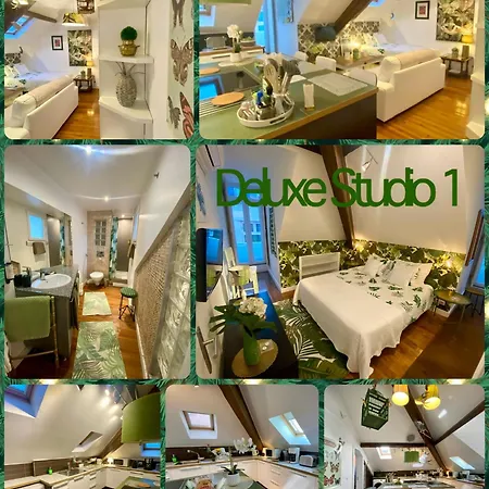 With Mezzanine Rua Da Moeda Apartment *