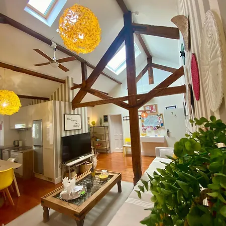 Apartamento With Mezzanine Rua Da Moeda Lisboa