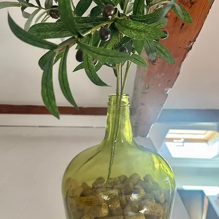Apartament With Mezzanine Rua Da Moeda