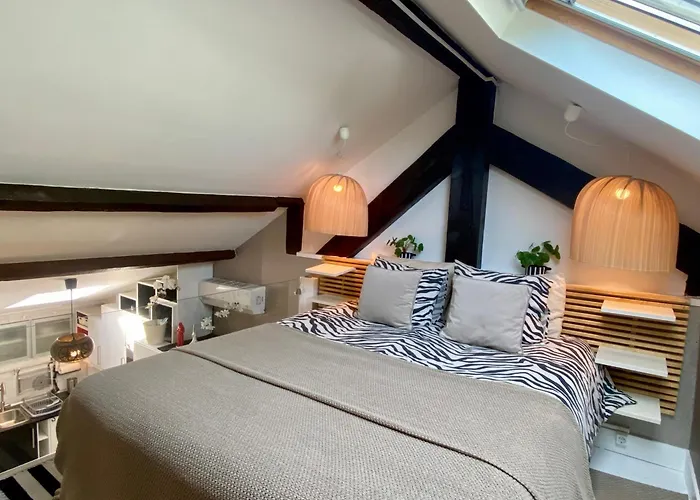 With Mezzanine Rua Da Moeda Apartment *